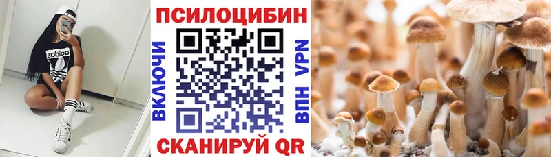 darknet официальный сайт  сколько стоит  Заринск  Псилоцибиновые грибы мицелий 